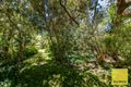 Property photo of 35 Ash Avenue Sandy Point VIC 3959