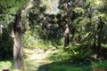 Property photo of 24 The Anchorage Hawks Nest NSW 2324