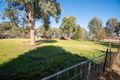 Property photo of 203 Culcairn Holbrook Road Holbrook NSW 2644