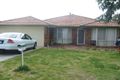 Property photo of 11 Everlasting Gardens Mirrabooka WA 6061