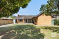Property photo of 41 Rutland Avenue Lockleys SA 5032