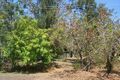 Property photo of 99 The Esplanade Toolakea QLD 4818