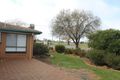 Property photo of 227 Austral Street Temora NSW 2666