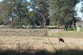 Property photo of 81 Knights Road Galston NSW 2159
