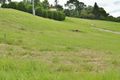 Property photo of 9-11 Greenfields Court Maleny QLD 4552