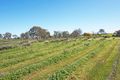 Property photo of 126 Murrulebale Road Old Junee NSW 2652