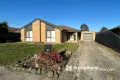 Property photo of 16 Arleon Crescent Cranbourne VIC 3977