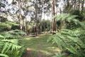 Property photo of 3 Doonaha Road Cockatoo VIC 3781