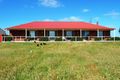 Property photo of 668 Wandilo Road Wandilo SA 5291