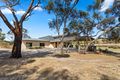 Property photo of 25 Stormbird Drive Boston SA 5607