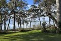 Property photo of 63 Tanilba Road Lemon Tree Passage NSW 2319