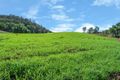 Property photo of 137 Danglemah Road Limbri NSW 2352