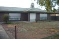 Property photo of 14 Kindler Avenue Nuriootpa SA 5355