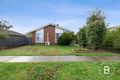 Property photo of 6 Waldemar Street Wendouree VIC 3355