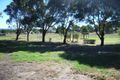 Property photo of 24 Whitaker Road Rossmore NSW 2557