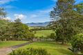 Property photo of 194 Brays Creek Road Tyalgum NSW 2484