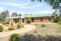 Property photo of 139 Riverview Drive Deniliquin NSW 2710
