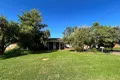Property photo of 11 Opal Street Dubbo NSW 2830