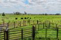 Property photo of 115 Myall Creek Road Coraki NSW 2471