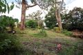 Property photo of 14 Pascoe Avenue Croydon VIC 3136