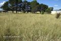 Property photo of 8 Mount View Michelago NSW 2620