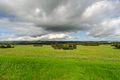 Property photo of 14 Evergreen Court Aldinga Beach SA 5173