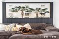 Property photo of 9 Balfour Street Fairy Meadow NSW 2519