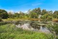 Property photo of 21 Old Mill Lane Flaxton QLD 4560