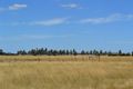 Property photo of 50 Feehans Road Wildwood VIC 3429
