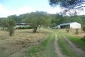 Property photo of 459 Coles Creek Road Cooran QLD 4569