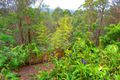 Property photo of 232 Kiel Mountain Road Kiels Mountain QLD 4559