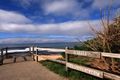 Property photo of 113 Collier Drive Berrara NSW 2540