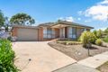 Property photo of 19 Melaleuca Crescent Langwarrin VIC 3910