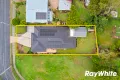 Property photo of 19 David Street North Booval QLD 4304