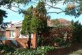 Property photo of 278 Kingsway Caringbah NSW 2229