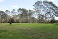 Property photo of 29 Barry Avenue Catherine Field NSW 2557