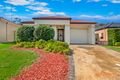 Property photo of 31 Sharrock Avenue Glenwood NSW 2768