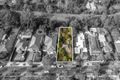 Property photo of 49 Nicholas Street Ashburton VIC 3147