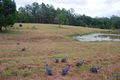 Property photo of 101 Gumboil Road Lake Macdonald QLD 4563