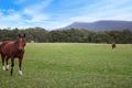 Property photo of 15 Godson Way Wongawilli NSW 2530