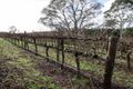 Property photo of 719 Casterton Road Penola SA 5277