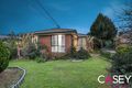 Property photo of 3 Rowan Court Carrum Downs VIC 3201