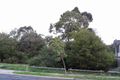 Property photo of 5 Pinewood Drive Mount Waverley VIC 3149