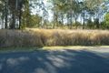 Property photo of 5 Johnson Street Bonalbo NSW 2469