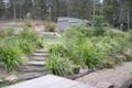 Property photo of 105 Citrus Road Palmwoods QLD 4555