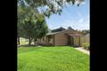 Property photo of 1/3 Sycamore Terrace Campbelltown SA 5074