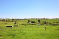 Property photo of 6 Yarra View Road Chirnside Park VIC 3116