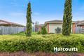 Property photo of 12 Stirling Avenue Cranbourne North VIC 3977