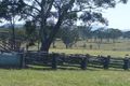 Property photo of LOT 1 Silent Grove Road Silent Grove NSW 2372