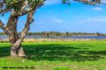 Property photo of 41 Vaucluse Way Coodanup WA 6210